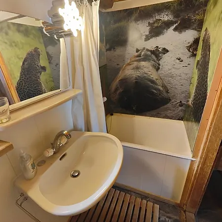 Mazot De L' Arche De Noe Chalet *