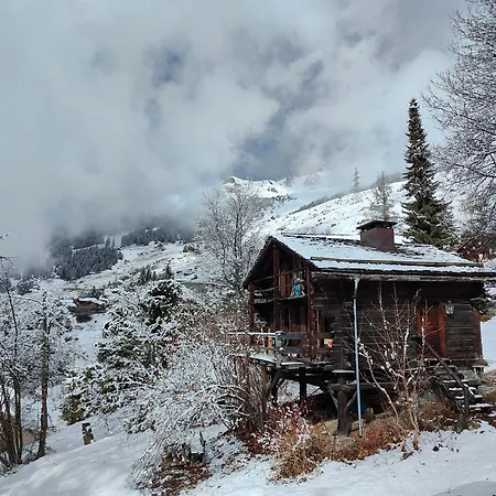 Mazot De L' Arche De Noe * 韦尔比耶