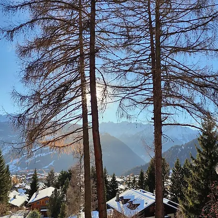 Mazot De L' Arche De Noe Шале