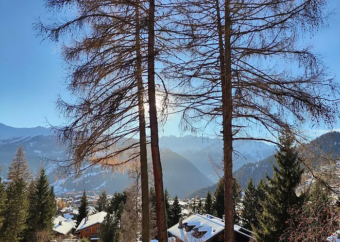 Mazot De L' Arche De Noe Alpesi faház